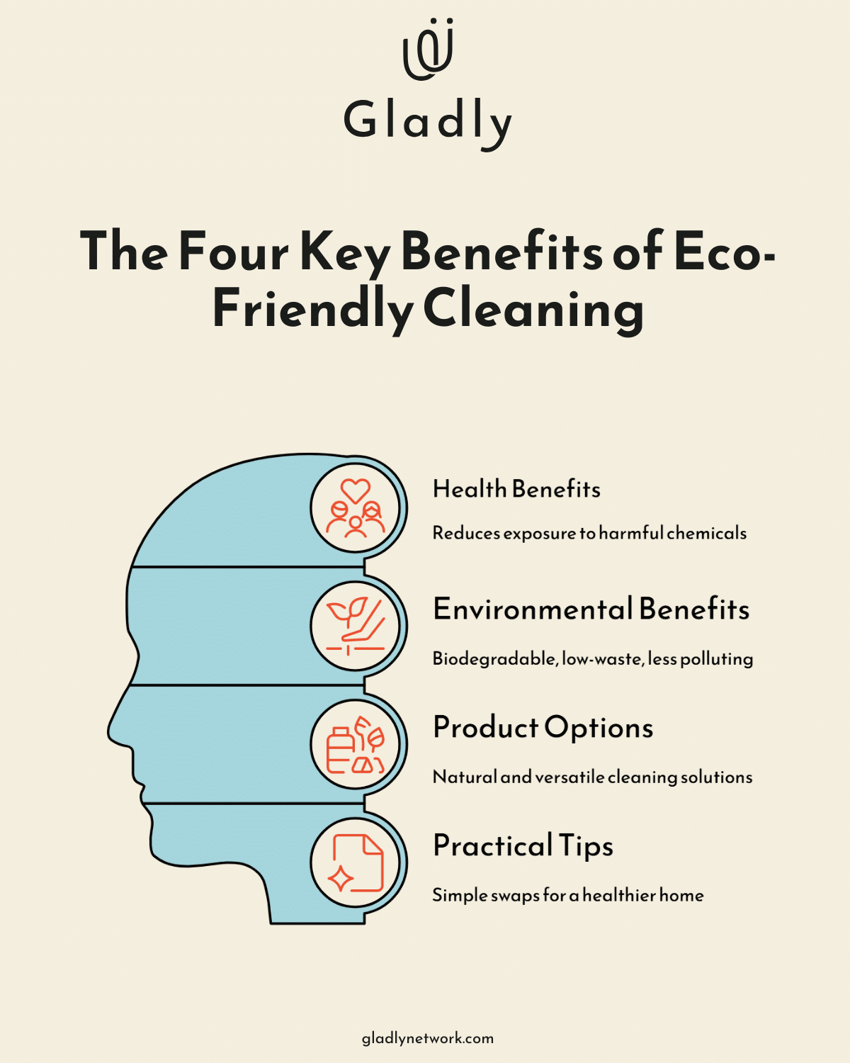 Eco-friendly cleaning benefits diagram: health, environment, product options, and practical tips.