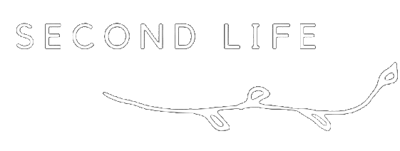 Second life logo
